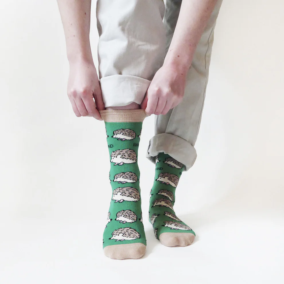 hedgehog-bare kind-sock