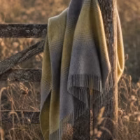 Starry Night Yellow Pure Wool Throw